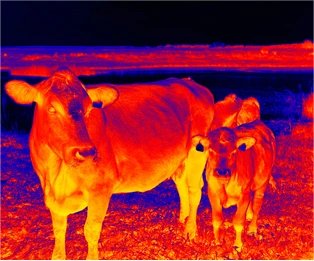 Cooled Thermal Imaging Technology