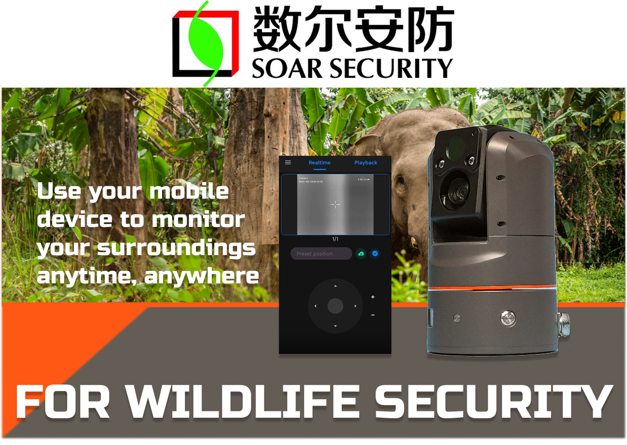 How to use PTZ Cameras in Wildlife Surveillance